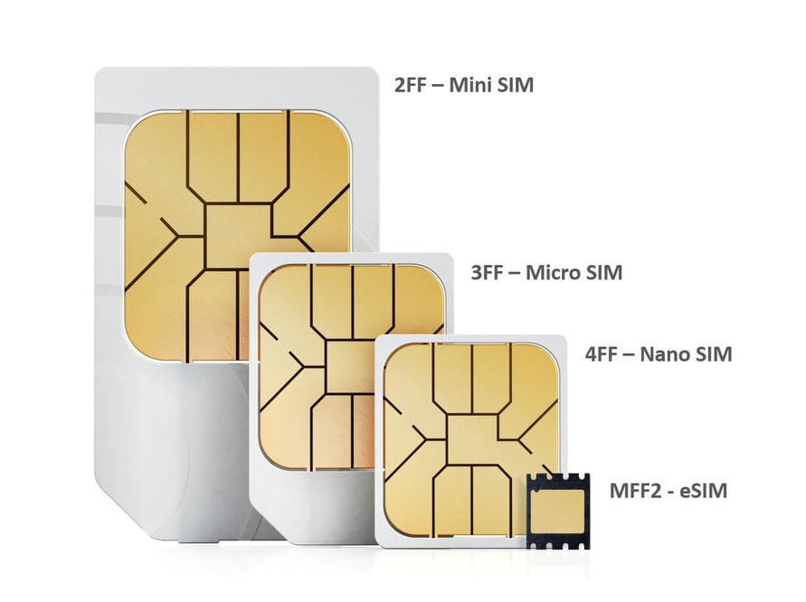 sims-formats